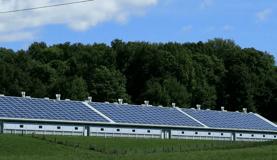 Solceller lantbruk