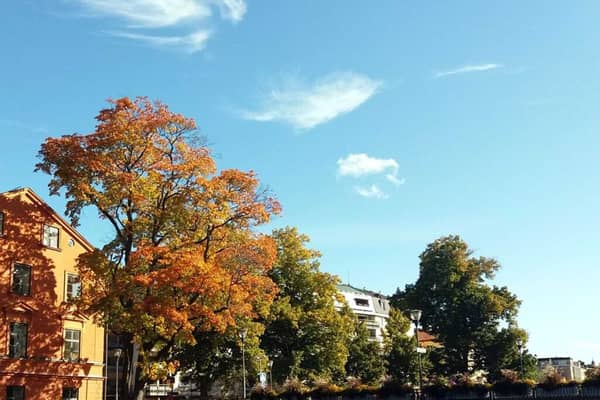 Solceller i Uppsala län