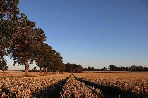 Lista: Solcellsinstallatörer i Östergötland