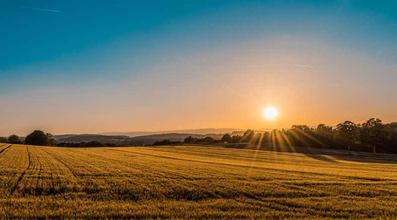 Hemsols solcellsrapport 2020 cover visar en solig äng, perfekt för solceller